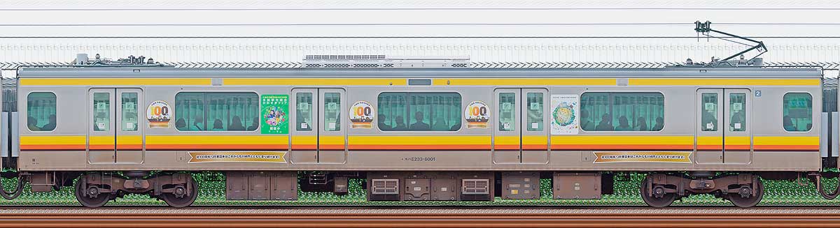 JR東日本E233系8000番台モハE233-8001川崎市市制100周年記念装飾山側の側面写真