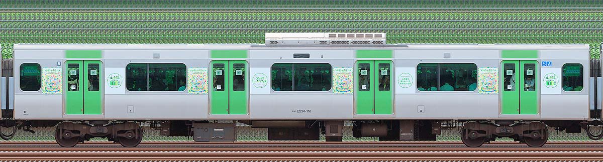 JR東日本E235系「山手線環状運転100周年記念ラッピングトレイン」モハE234-116海側(東京駅基準)の側面写真