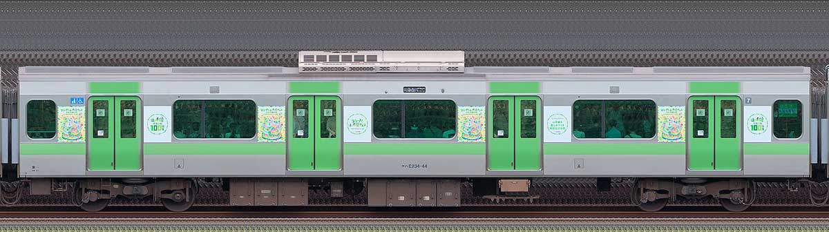 JR東日本E235系「山手線環状運転100周年記念ラッピングトレイン」サハE234-44山側(東京駅基準)の側面写真