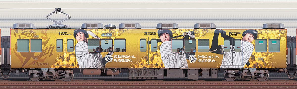 阪神8000系「阪神タイガース90周年記念 ラッピングトレイン」8011山側の側面写真