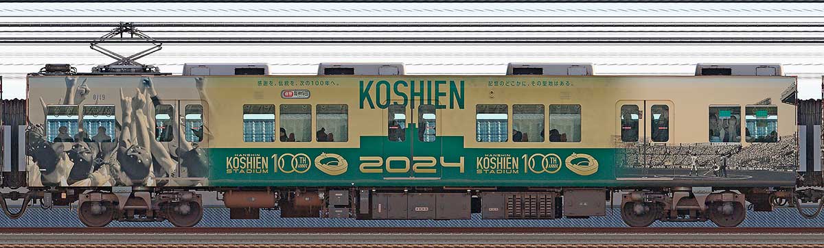 阪神8000系「阪神甲子園球場100周年記念 ラッピングトレイン」8119山側の側面写真