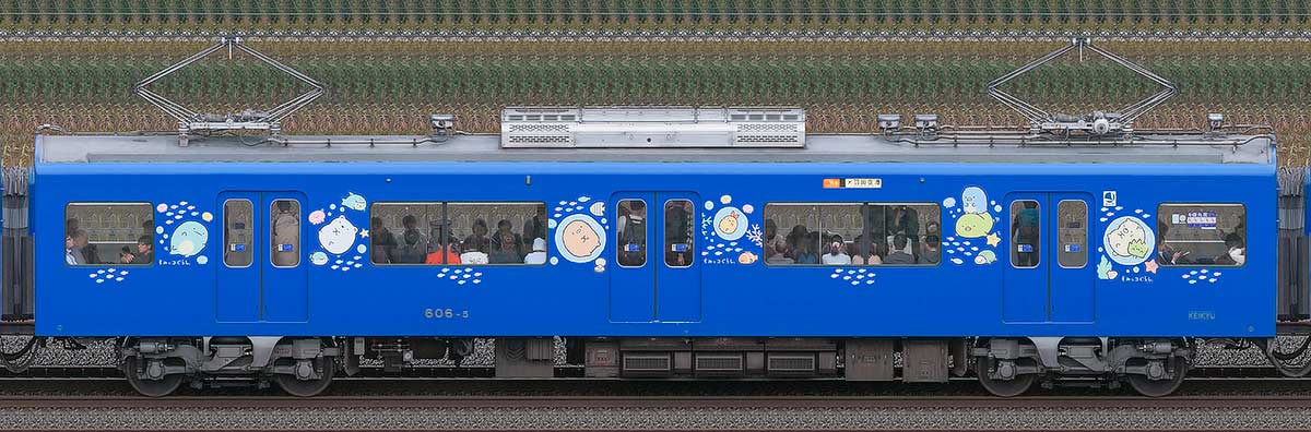 京急電鉄 600形デハ606-5「京急ブルースカイトレイン 空と海すいすい号」海側の側面写真
