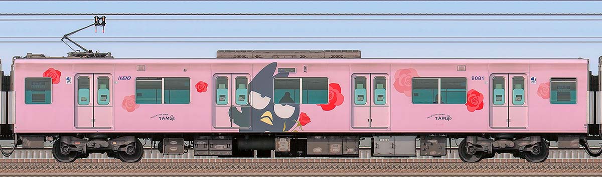 京王9000系「サンリオキャラクターラッピングトレイン」デハ9081海側の側面写真