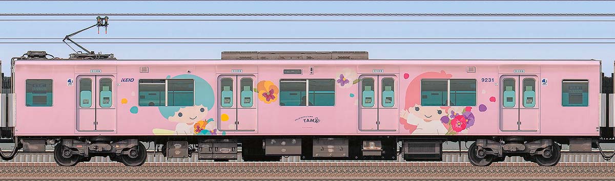 京王9000系「サンリオキャラクターラッピングトレイン」デハ9231海側の側面写真