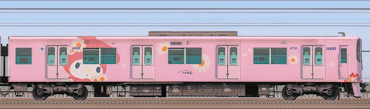 京王9000系「サンリオキャラクターラッピングトレイン」クハ9731海側の側面写真