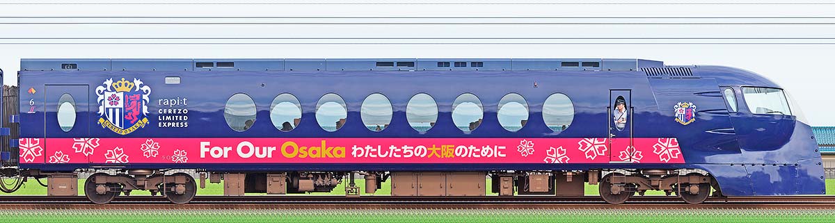 南海50000系「ラピート」クハ50503セレッソ大阪 × 特急ラピート30周年記念ラッピング山側の側面写真