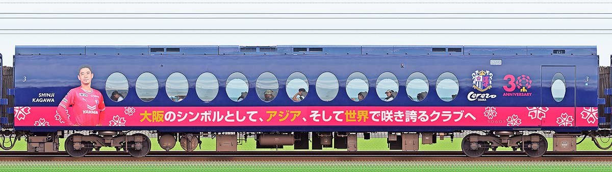 南海50000系「ラピート」サハ50603セレッソ大阪 × 特急ラピート30周年記念ラッピング山側の側面写真