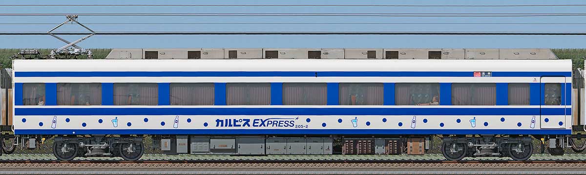 東武200型「りょうもう『カルピス』EXPRESS」モハ205-2海側の側面写真