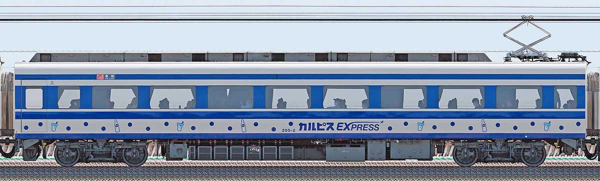 東武200型「りょうもう『カルピス』EXPRESS」モハ205-2山側の側面写真