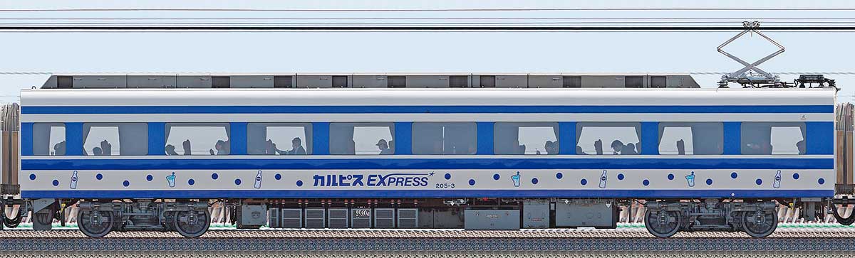 東武200型「りょうもう『カルピス』EXPRESS」モハ205-3山側の側面写真