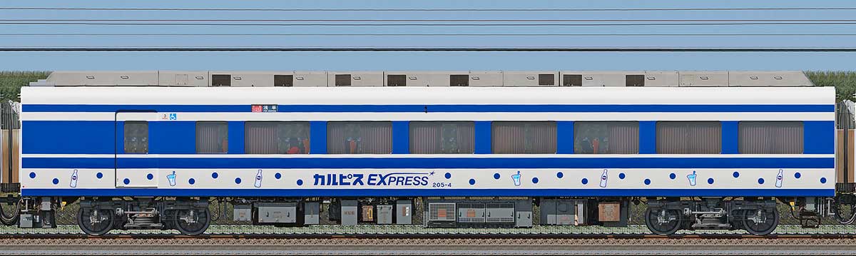 東武200型「りょうもう『カルピス』EXPRESS」モハ205-4海側の側面写真
