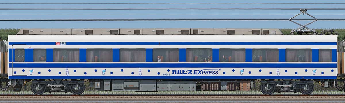 東武200型「りょうもう『カルピス』EXPRESS」モハ205-5海側の側面写真