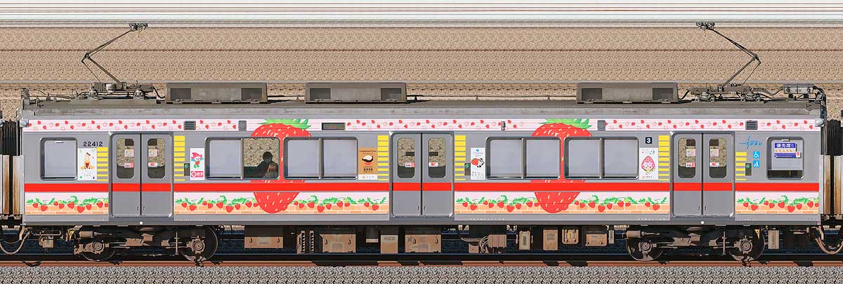 東武20400型「Berry² Happy Train」モハ22412海側の側面写真