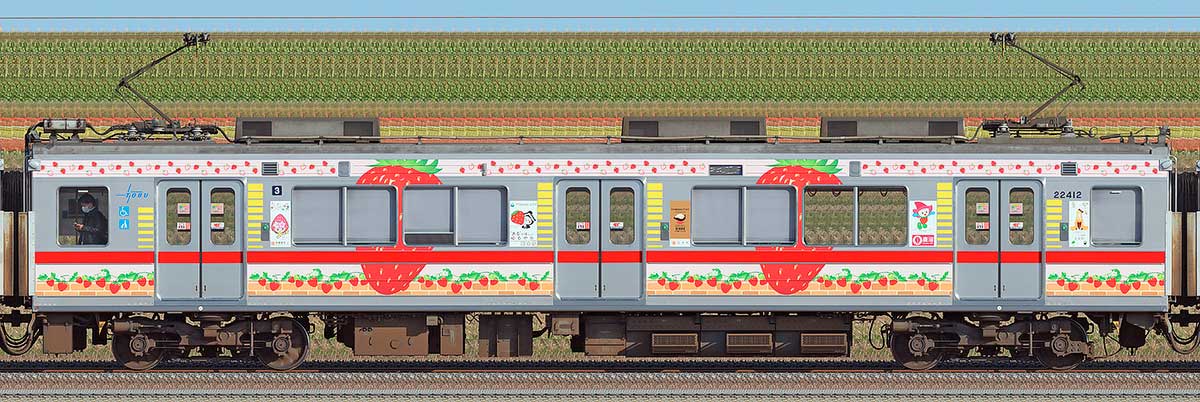 東武20400型「Berry² Happy Train」モハ22412山側の側面写真