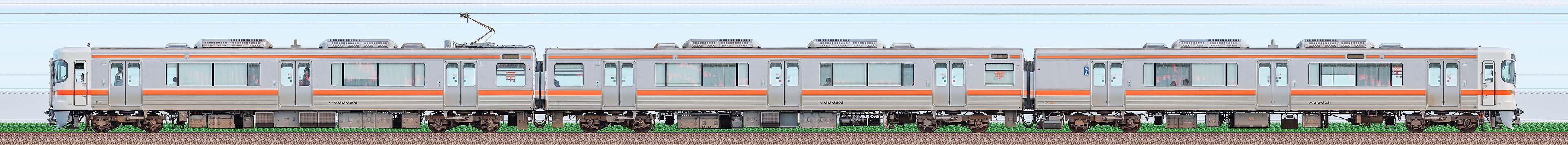 JR東海静岡車両区313系2600番台N5編成（山側）の編成サイドビュー
