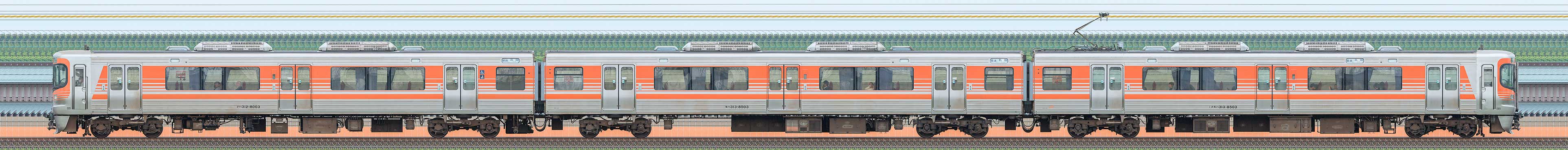 JR東海静岡車両区313系8000番台S3編成(海側)の編成サイドビュー