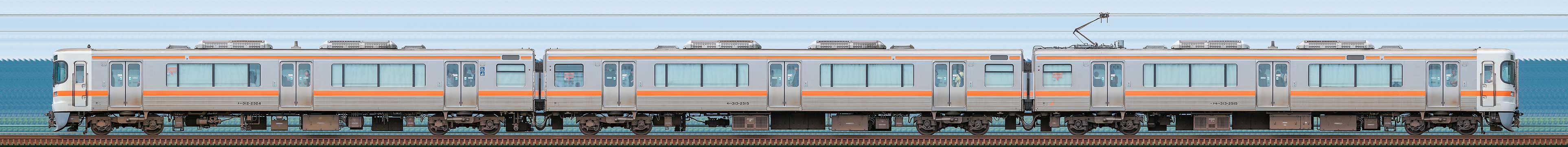 JR東海静岡車両区313系2500番台T15編成（海側）の編成サイドビュー