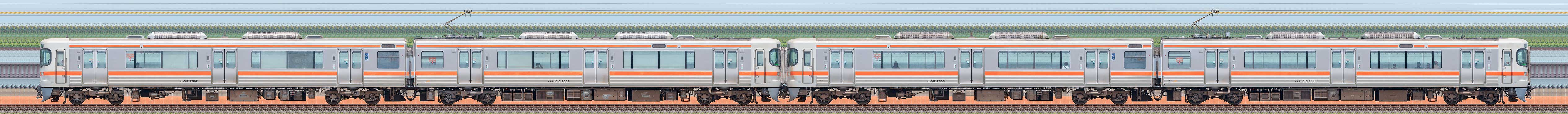 JR東海静岡車両区313系2300番台W4編成＋W8編成（海側）の編成サイドビュー