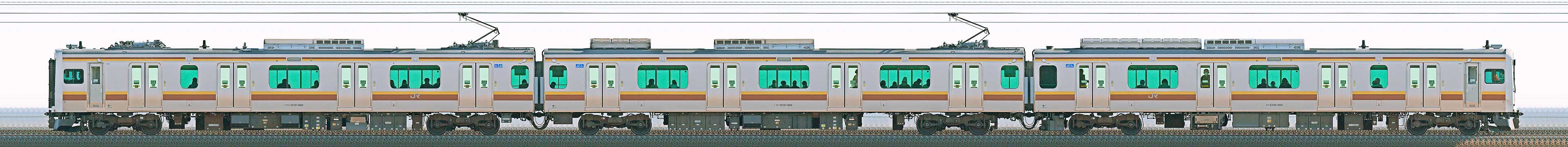 JR東日本 宇都宮線・日光線 E131系600番台TN3編成（山側）の編成サイドビュー