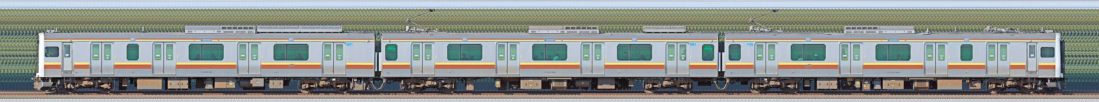 JR東日本 宇都宮線・日光線 E131系600番台TN3編成（海側）の編成サイドビュー