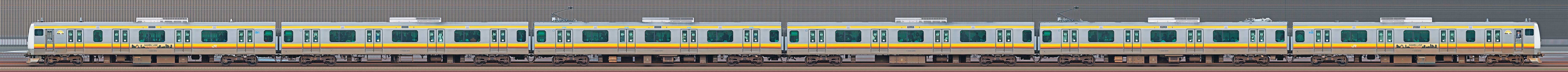 JR東日本 南武線 E233系8000番台N16編成（線路設備モニタリング装置対応編成・海側）の編成サイドビュー