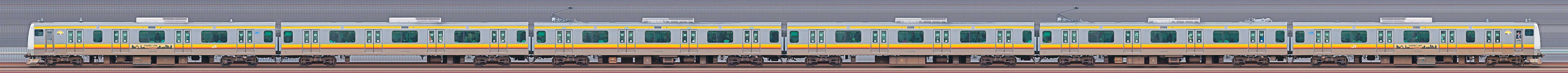 JR東日本 南武線 E233系8000番台N20編成（海側）の編成サイドビュー