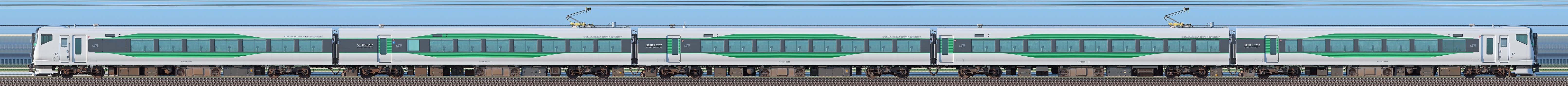 JR東日本E257系5500番台OM-54編成（海側）の編成サイドビュー
