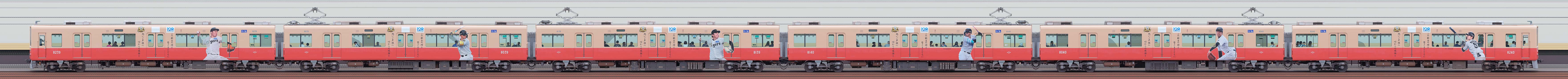 阪神8000系8239編成「阪神タイガース優勝記念ラッピングトレイン」(山側)の編成サイドビュー