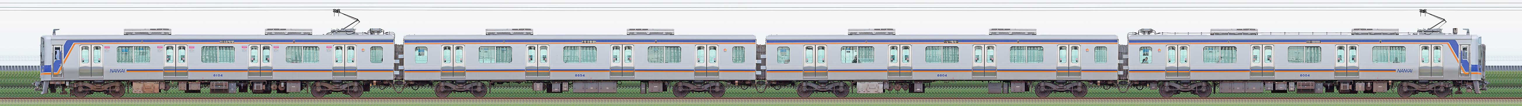 南海8000系8004編成（山側）の編成サイドビュー