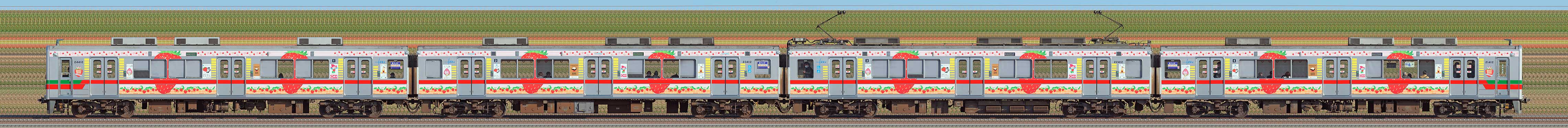 東武20400型21412編成「Berry² Happy Train」（山側）の編成サイドビュー