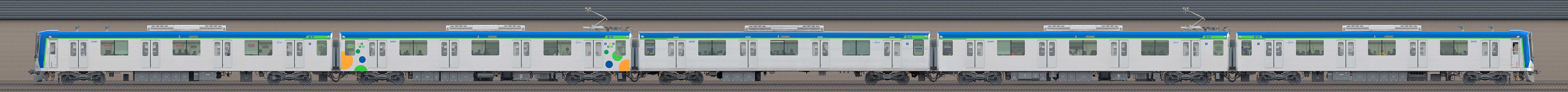東武80000系81551編成(海側)の編成サイドビュー