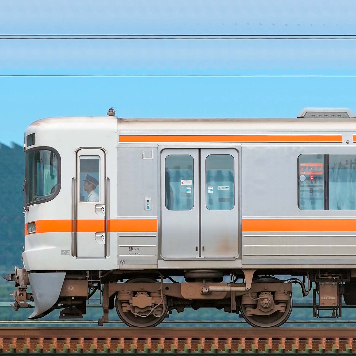JR東海313系2600番台静岡車両区N9編成（海側）のサイドビュー
