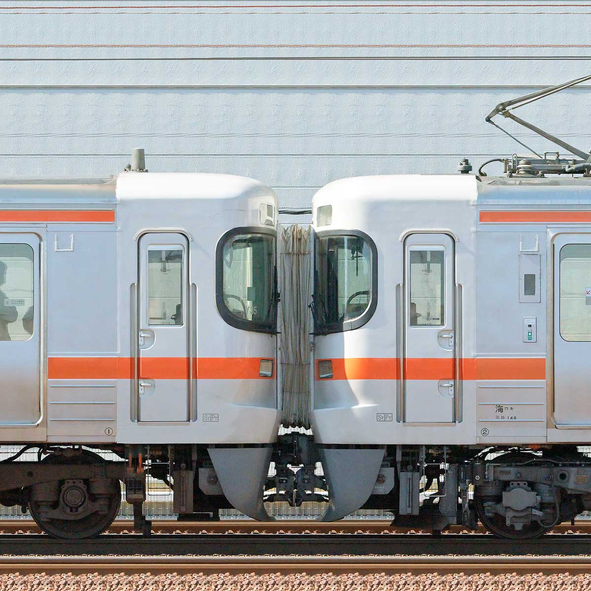 JR東海大垣車両区313系1100番台J1編成＋300番台Y35編成＋3000番台R116 