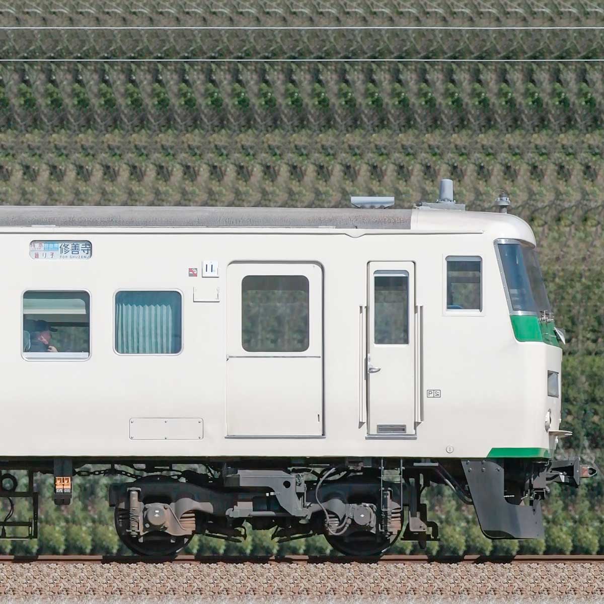 クリスマスローズ-SUMI 直流特急型•電車 185系 •クハ185形 車