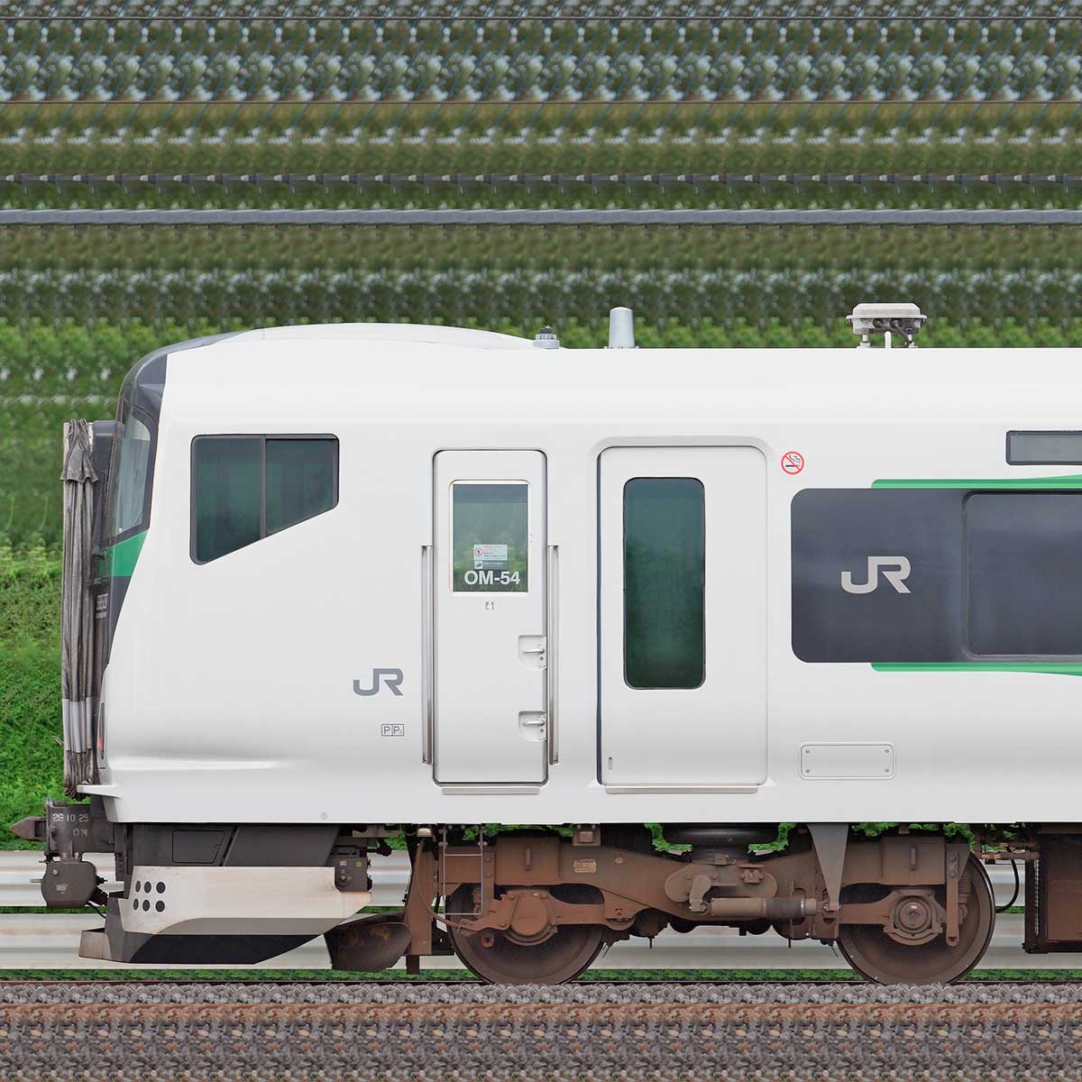 JR東日本E257系5500番台OM-54編成（山側）｜RailFile.jp｜鉄道車両サイドビューの図鑑