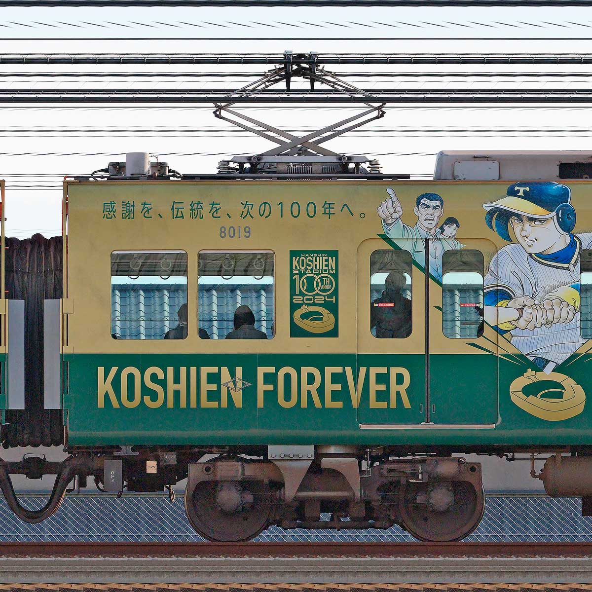 ogp_hs_c8019a_2820z.jpg