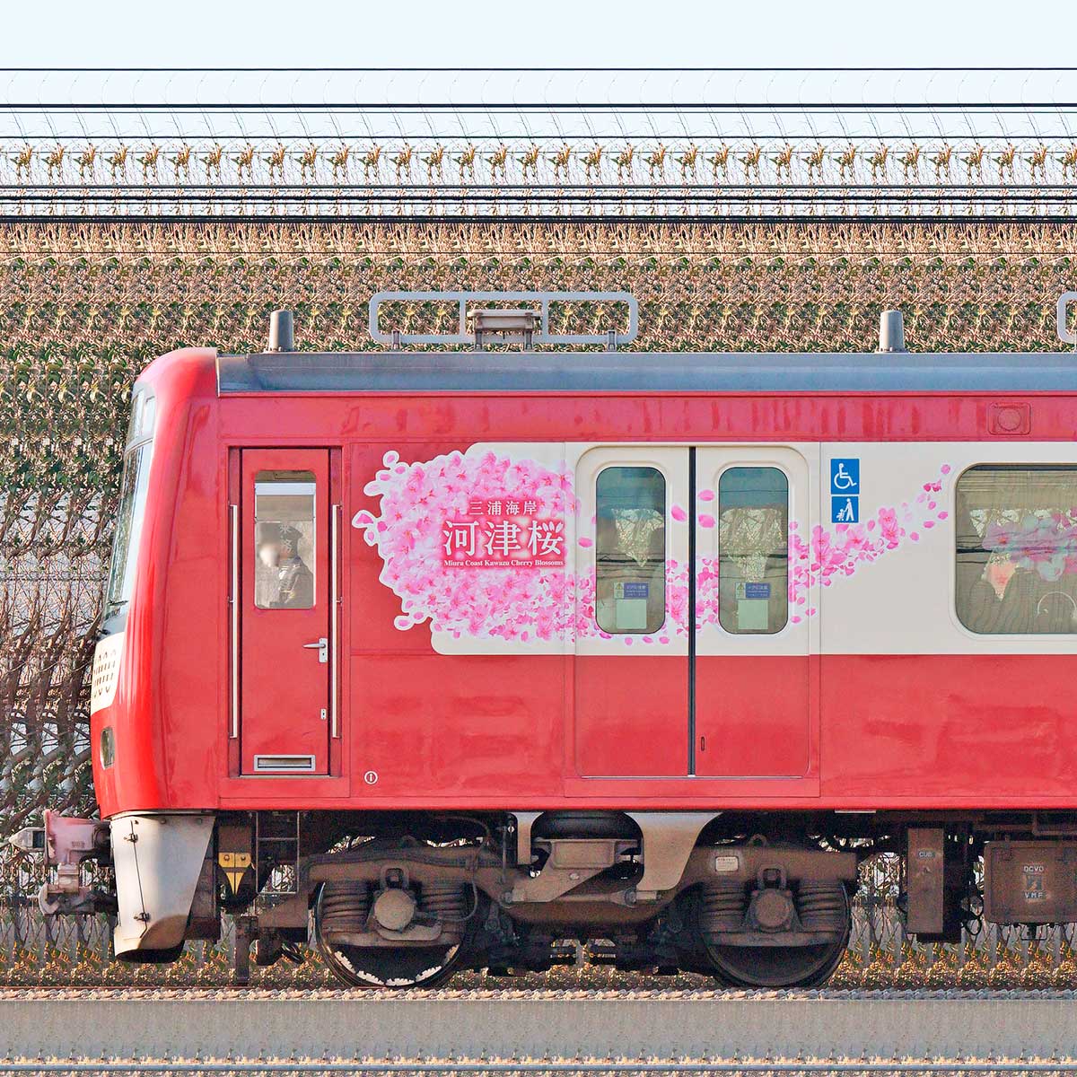 京急電鉄 新1000形（17次車）デハ1201「三浦海岸 河津桜」号の側面写真｜RailFile.jp｜鉄道車両サイドビューの図鑑