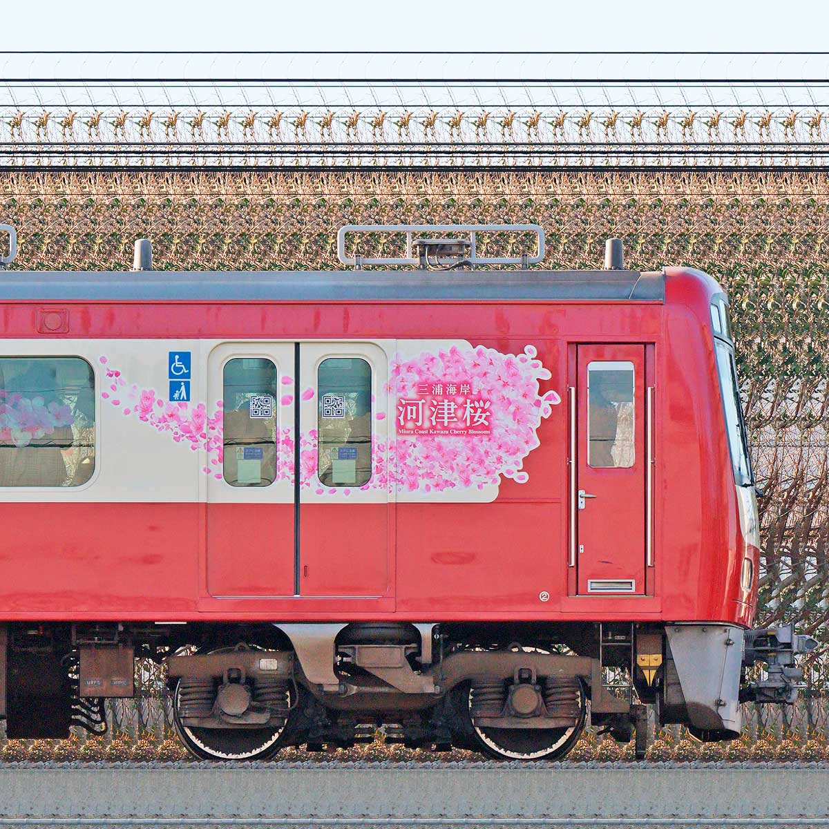京急電鉄 新1000形（17次車）デハ1208「三浦海岸 河津桜」号の