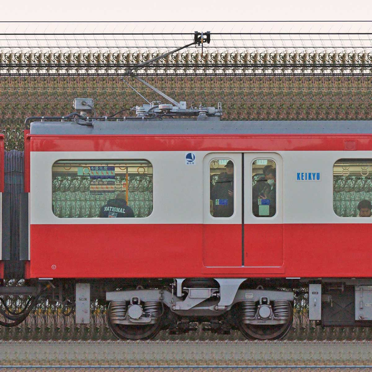 ogp_kq_c1501-2a_2279z.jpg