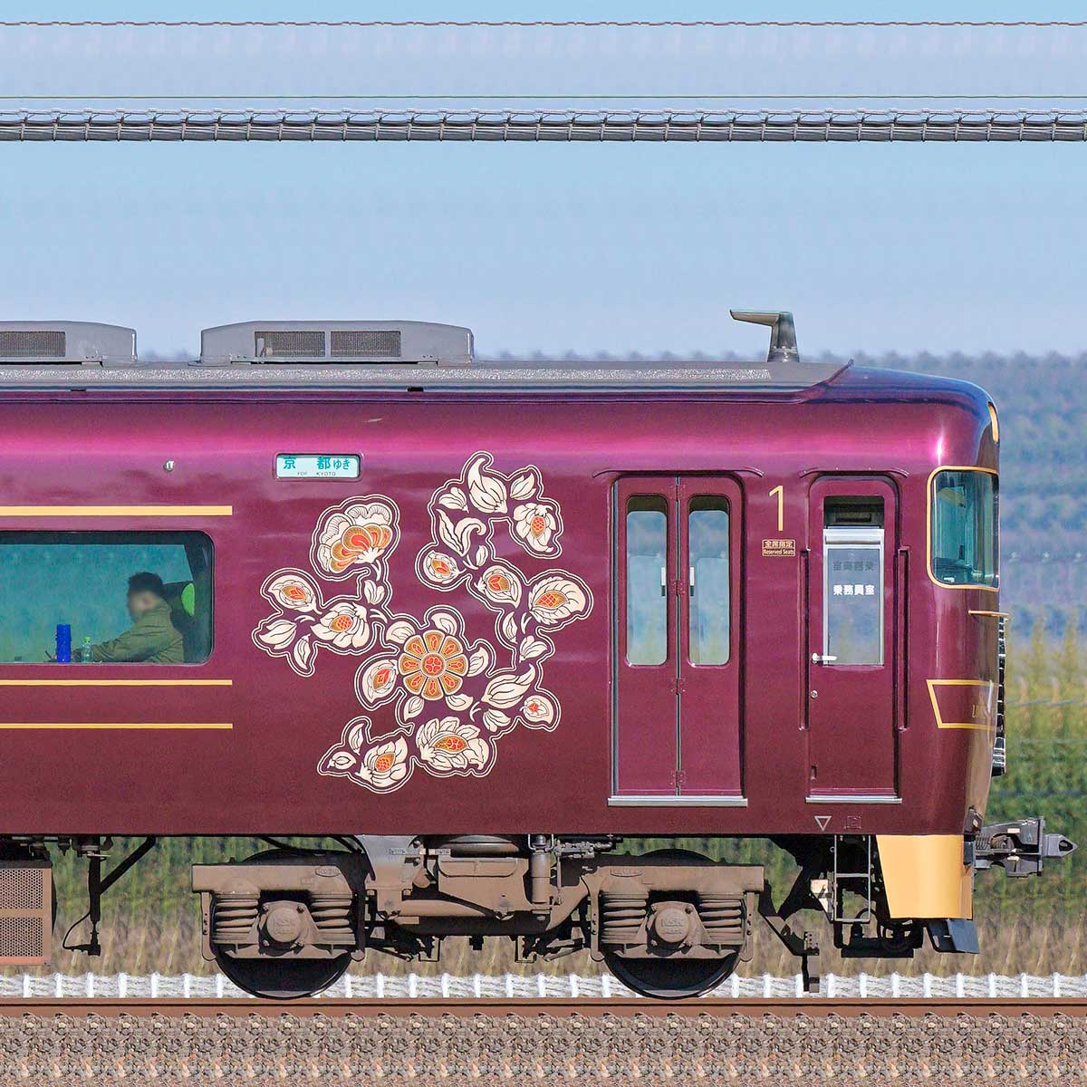 近鉄19200系「あをによし」ク19301の側面写真｜RailFile.jp｜鉄道車両 