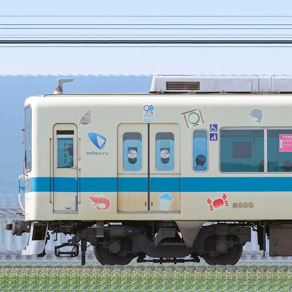 小田急8000形8255×6「江ノ島線開業90周年トレイン」（海側）のサイドビュー