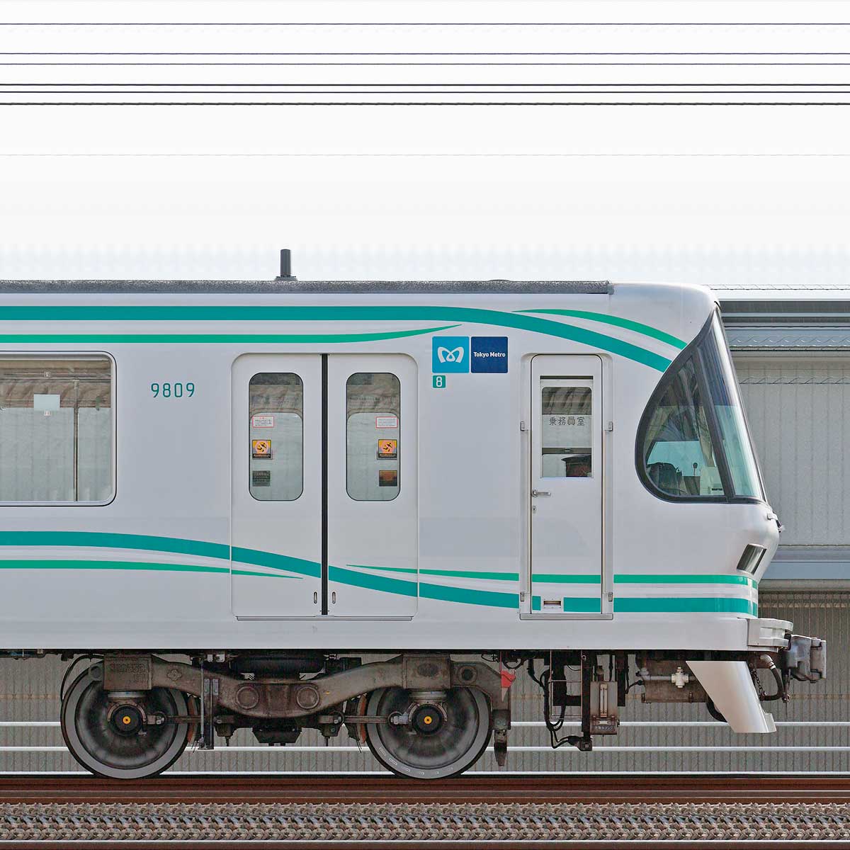 コレクション【鉄道廃品】東京メトロ 車両側面 ロゴ板