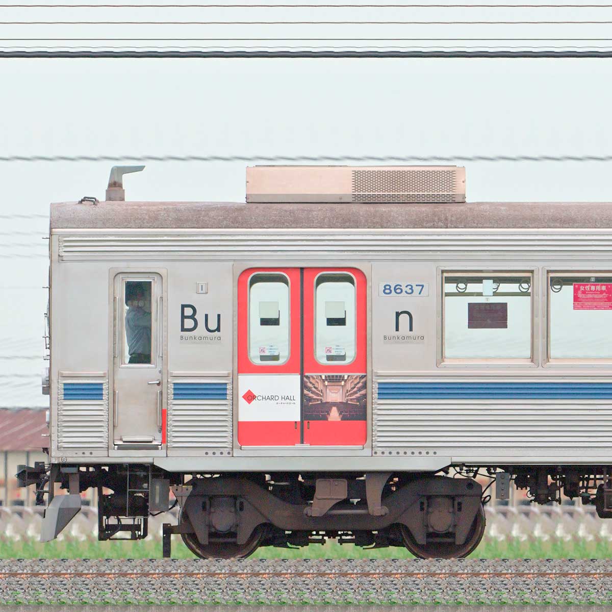 東急8500系8637編成「Bunkamura号」（山側）｜RailFile.jp｜鉄道車両