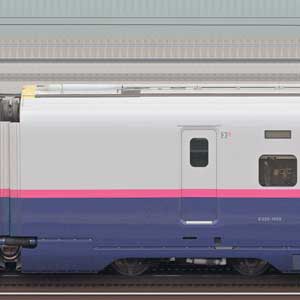 JR東日本E2系E225-1009