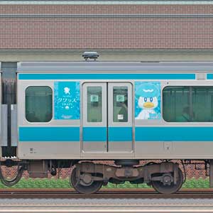 JR東日本E233系1000番台サハE233-1051ポケモンラッピング（クワッス）