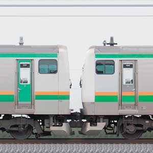 JR東日本 小山車両センター E231系U107編成＋E233系U630編成（山側）