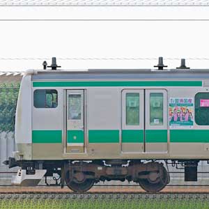JR東日本 埼京線 E233系7000番台ハエ128編成「乃木坂46『国消国産』ラッピング電車」（山側）