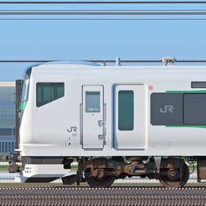 JR東日本E257系5500番台OM-54編成（海側）