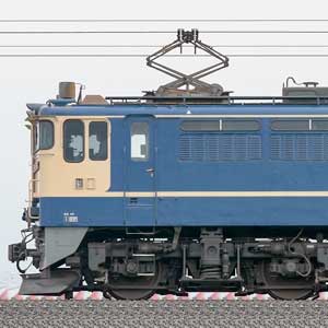 JR貨物EF65 2081+コキ100系2車（配8790列車）