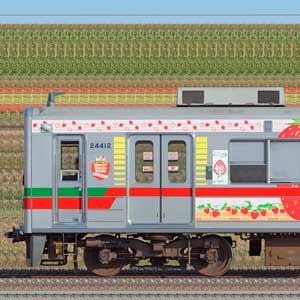 東武20400型21412編成「Berry² Happy Train」（山側）